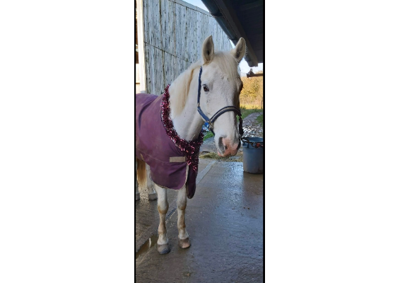 Voucher Template 11715