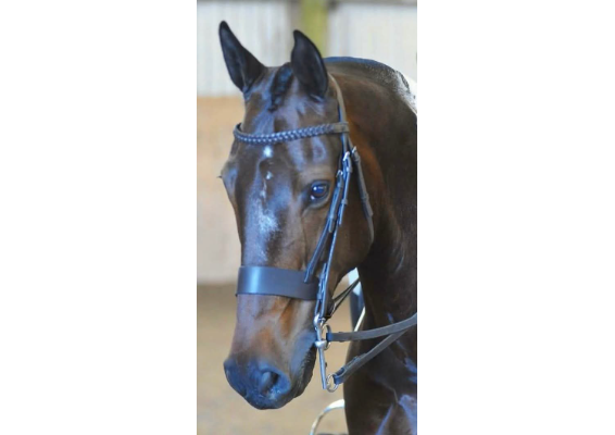 Voucher Template 11718