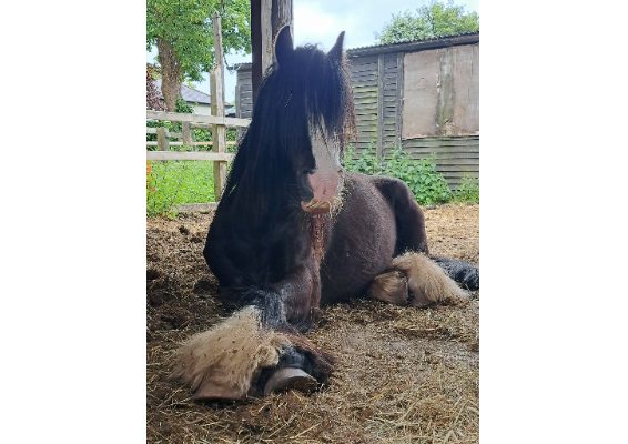 Voucher Template 11714