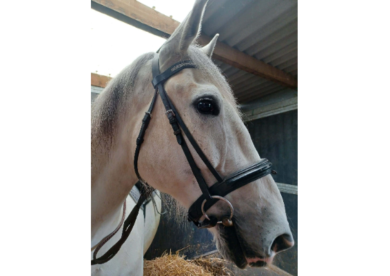 Voucher Template 11713