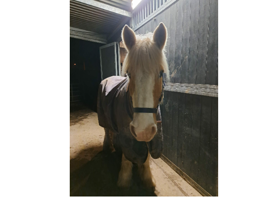 Voucher Template 11711